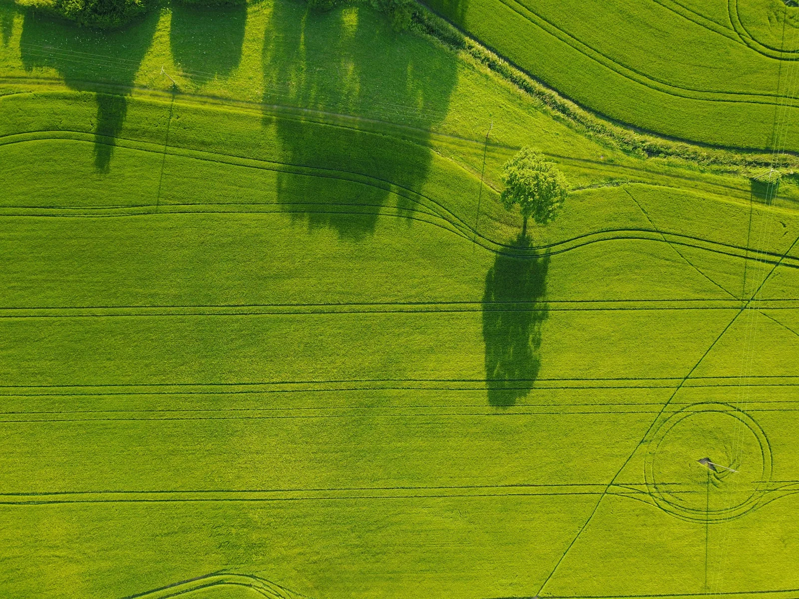 Aerial view of cultivated fields used as editorial imagery for the Humus operating model